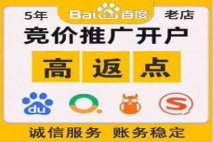 某品牌通过SEM优化实现品牌增长的故事
